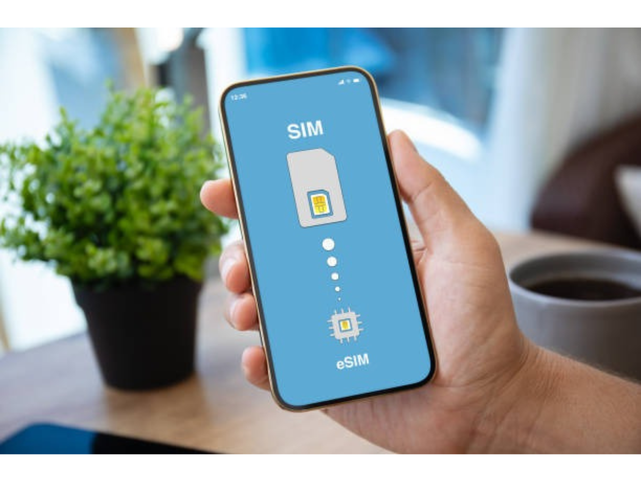 Travel Smart with Roam Digi eSIM Abroad